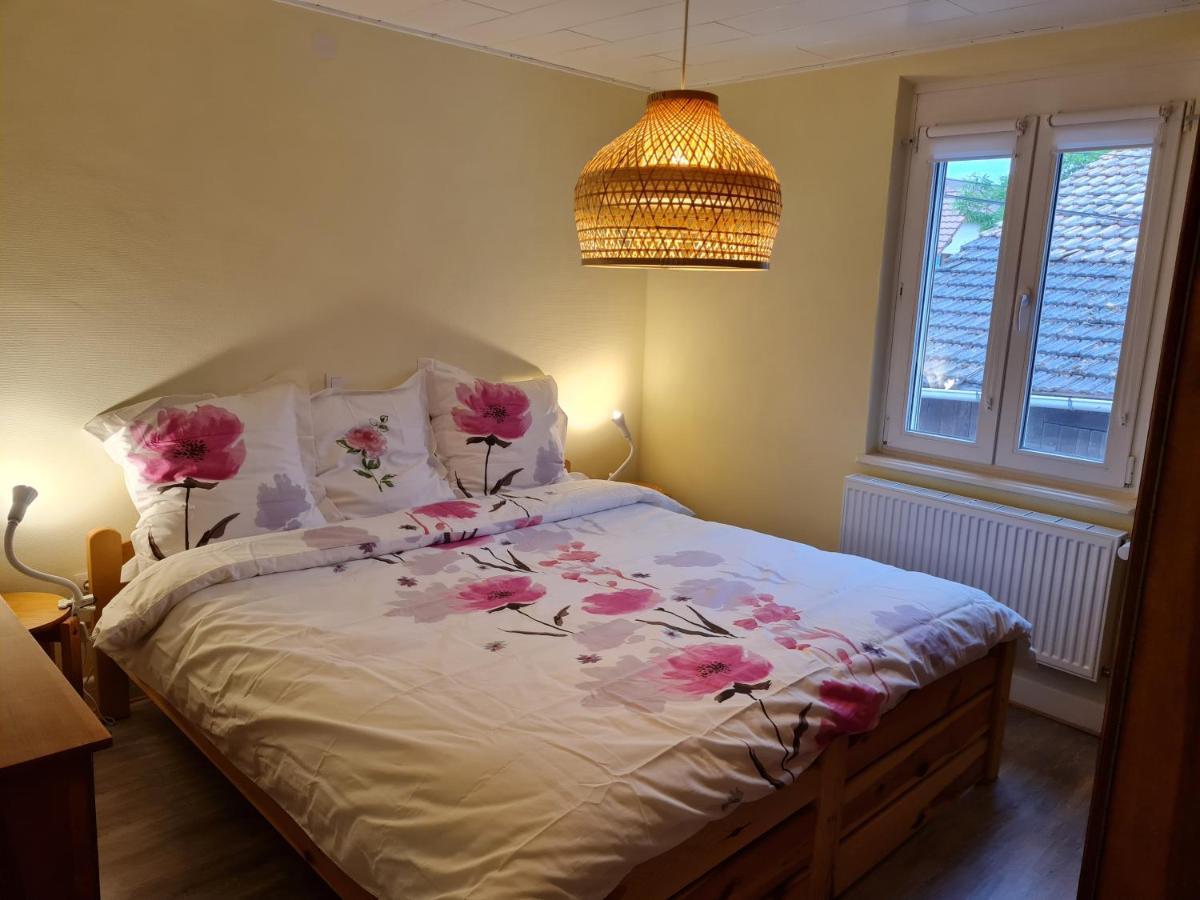 Ferienwohnung Les Chouchous Du Ried 2 Saasenheim Exterior foto